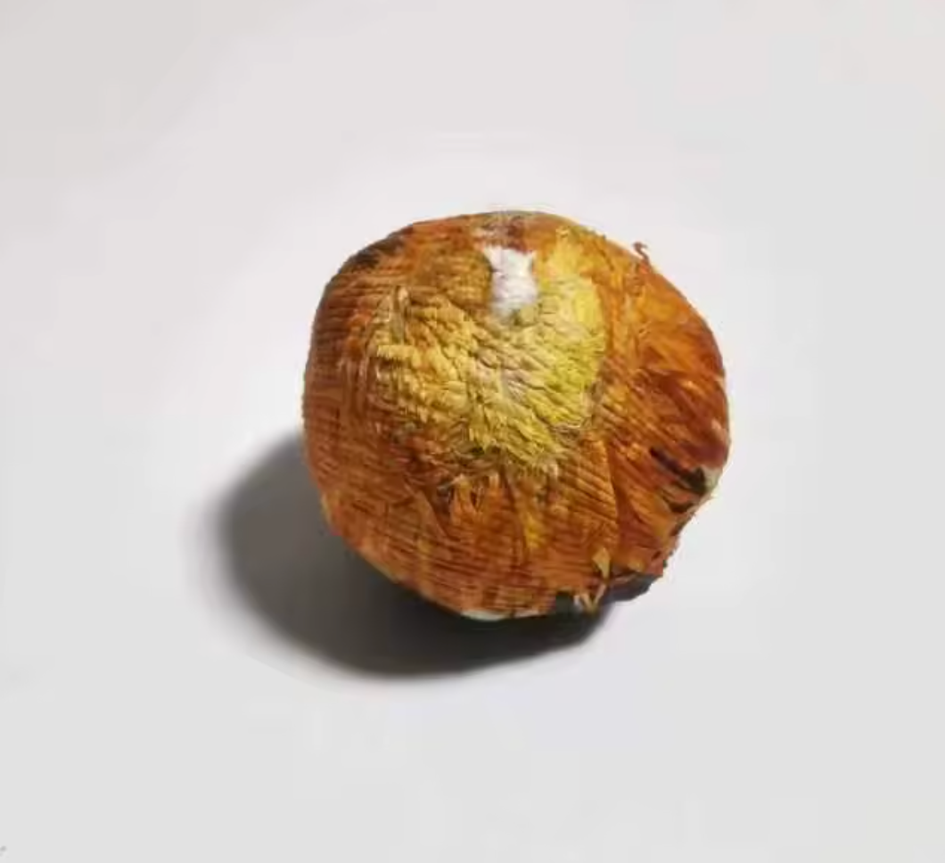 Soaked Golden Orange Spritz (12 pack)