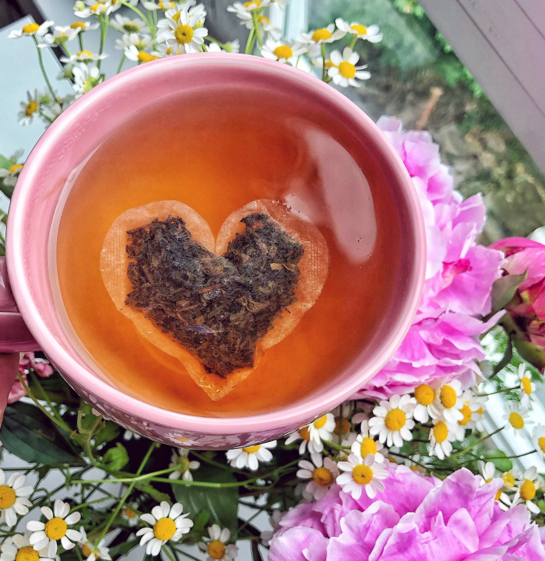 Hot & Heavy Hibiscus (12 pack)